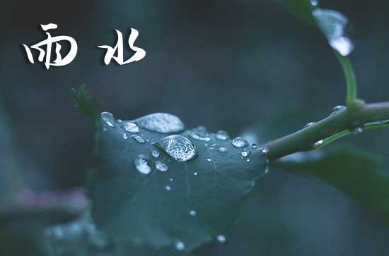 2024年2月19日是什么日子 每年2月19日是什么节日