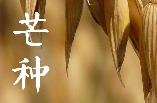 2023芒种是几月几号开始的