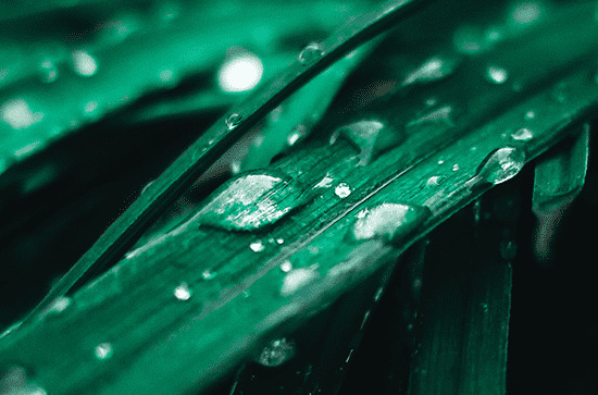 在夏季雨天适合发朋友圈的句子80句