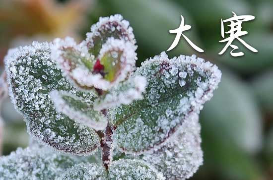 祝福语大全：2023大寒抖音经典祝福语