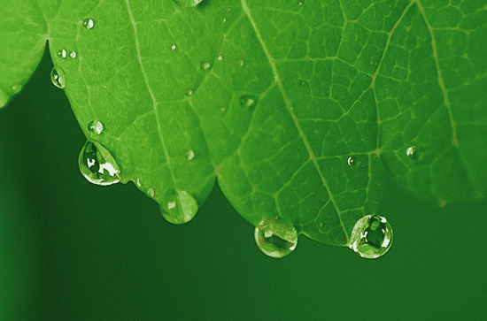 适合孤独雨夜伤感朋友圈文案80句