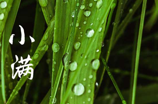 小满节气的传统活动有哪些   小满节气的谚语