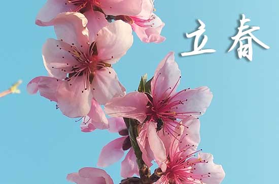 2024年是早立春还是晚立春 2024年立春是早春还是晚春