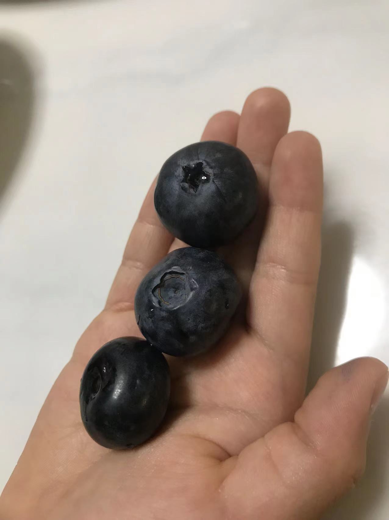 蓝莓18mm算大果吗 蓝莓18mm是巨无霸吗