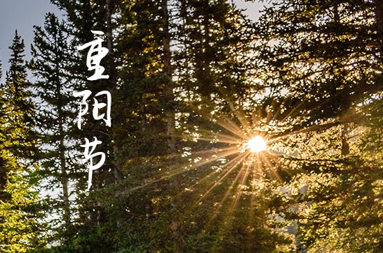 重阳节可以说节日快乐吗
