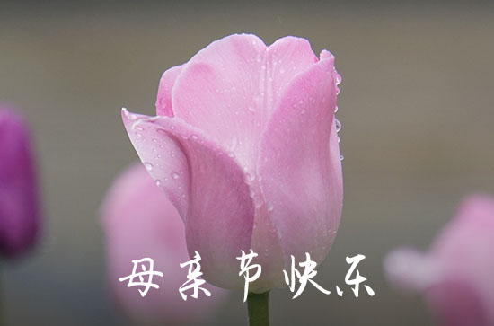 母亲节给妈妈包红包多少钱吉利