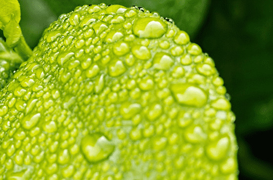 谷雨的问候祝福语金句 谷雨节气祝福文案