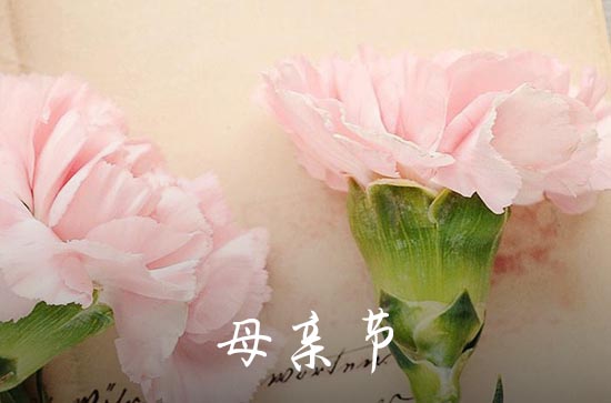 2024母亲节唯美的文艺句子   唯美句子母亲节很文艺的暖心给妈妈的祝福语