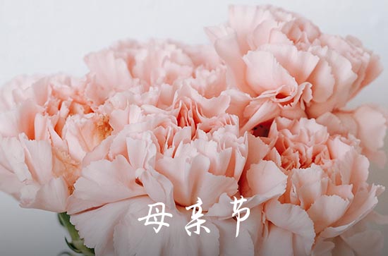 2024母亲节祝福语简短语句 母亲节温馨祝福语简短一句话
