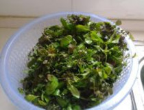 荠菜炒肉的做法 荠菜怎么做好吃？