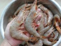 虾酱怎么做 在家也能自制美味虾酱！