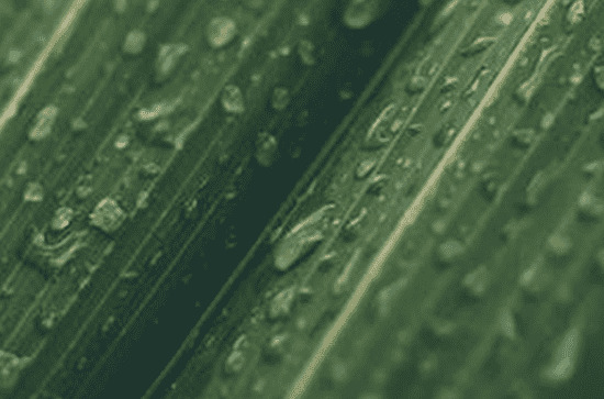 梅雨季节开窗好还是关窗好  梅雨季节如何保持室内干燥