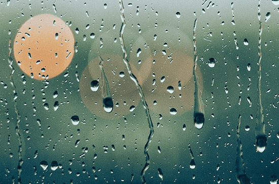 上海梅雨季节是什么时间  梅雨期防范事项