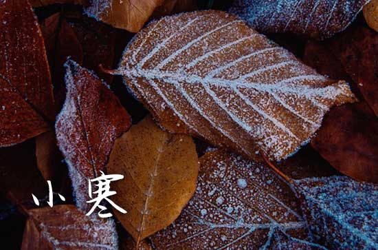 2024年小寒几点几分几秒 小寒的天气特点