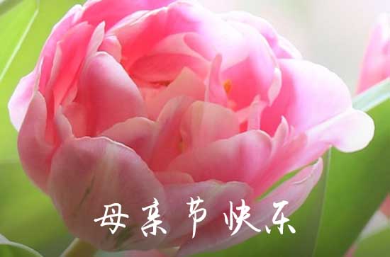 母亲节感谢婆婆带孩子辛苦的一段话 母亲节感谢婆婆付出的句子