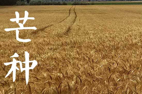 2023年芒种古诗,芒种节气古诗