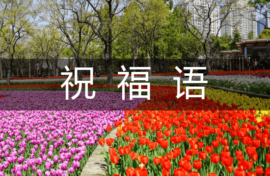 2025护士节13句祝福语(句句暖心)