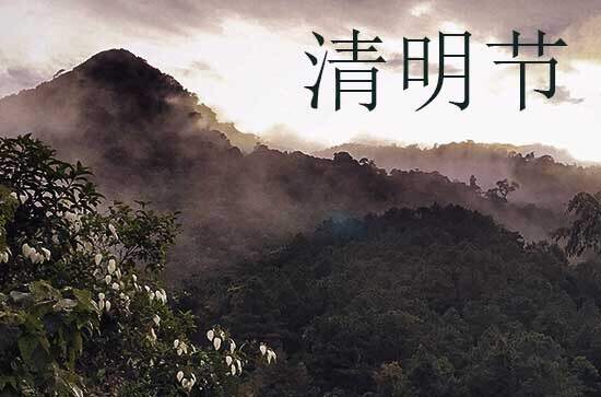 清明节诗节选 古诗里的清明节
