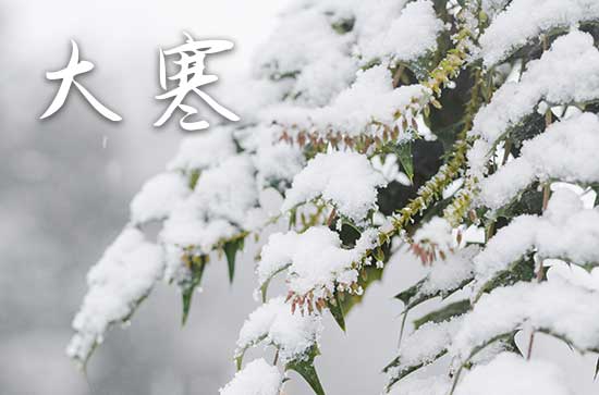 几号大寒2025 一年中的最寒冷时节