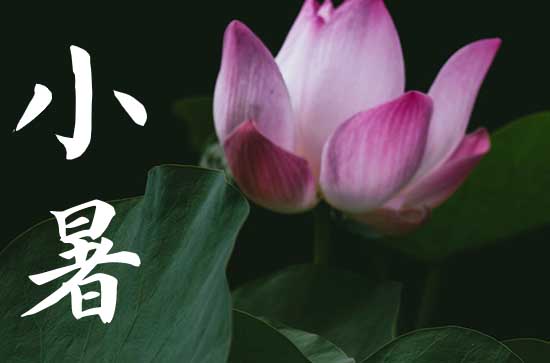 2023年7月几号小暑 2023年7月7日小暑