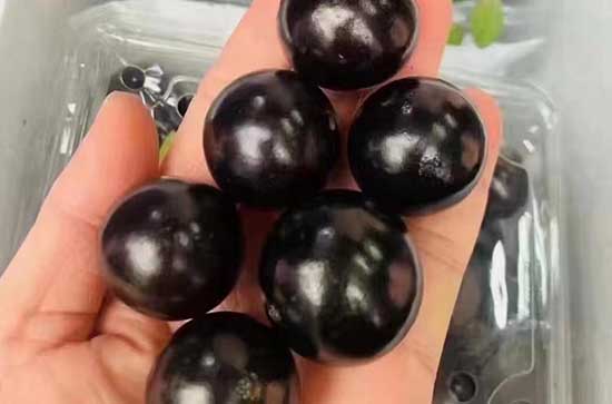 蓝莓一盒里面有一颗发了霉的还能不能吃 不小心吃了发霉的蓝莓怎么办